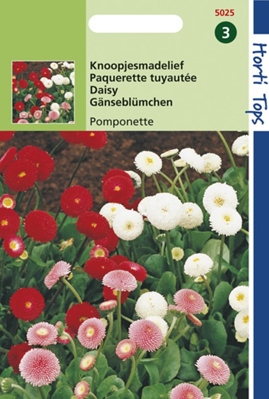 Gnseblmchen Pomponette (Bellis) 350 Samen